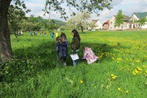 Kl. 3a u. 3b_Obstwiese 3.5.18 (17)