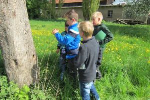 Kl. 3a u. 3b_Obstwiese 3.5.18 (18)