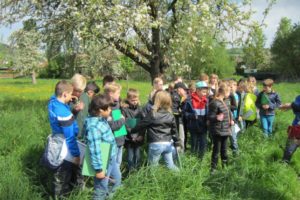 Kl. 3a u. 3b_Obstwiese 3.5.18 (25)