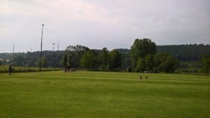 WP_20180608_10_12_23_Rich_LI
